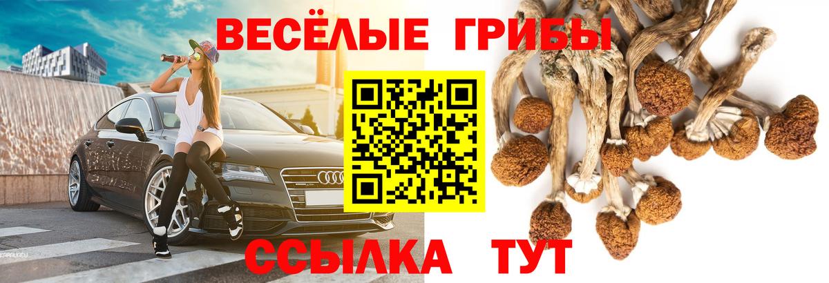 Галлюциногенные грибы Cubensis Волоколамск