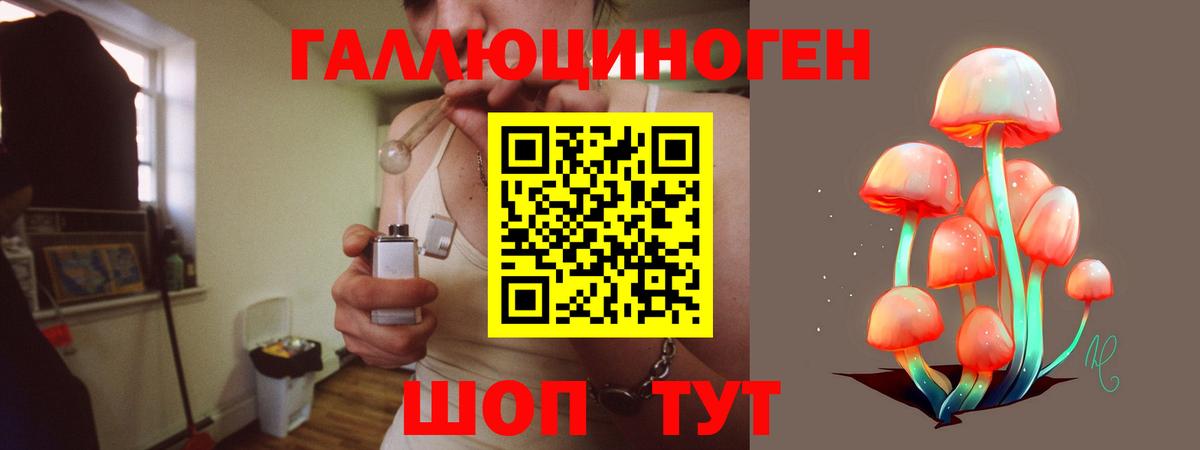 Псилоцибиновые грибы Magic Shrooms  наркота  Волоколамск  Вход с VPN 